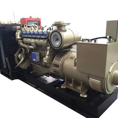 ชุดเครื่องกำเนิดก๊าซชีวภาพขนาด 300kw